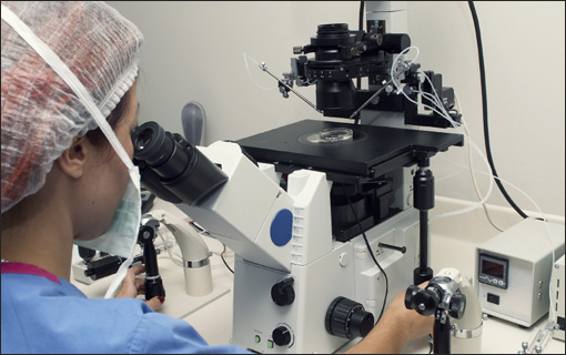 Lab Analysis